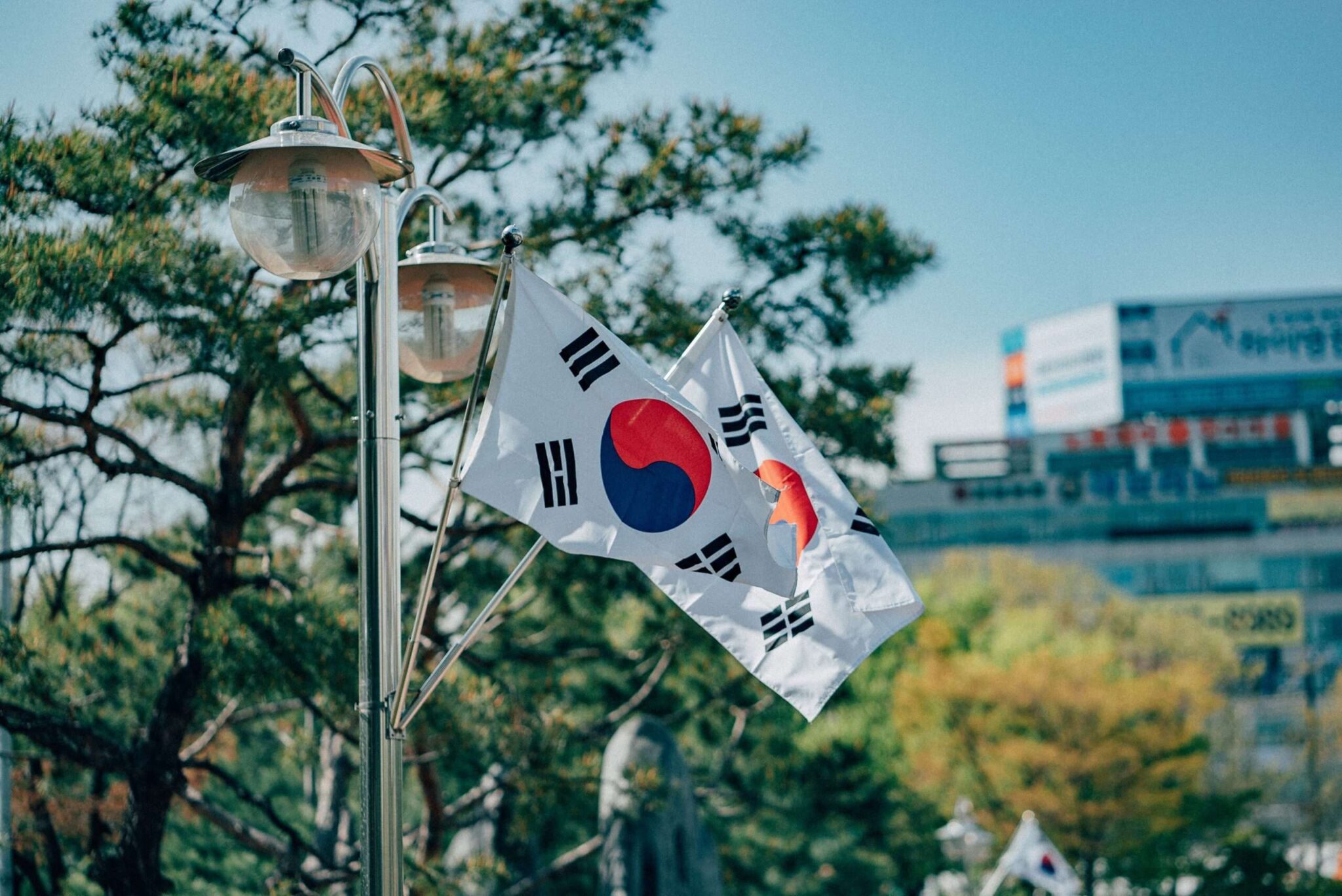 South Korean flag to represent the Kim Nam-guk Prevention Law passed in the country