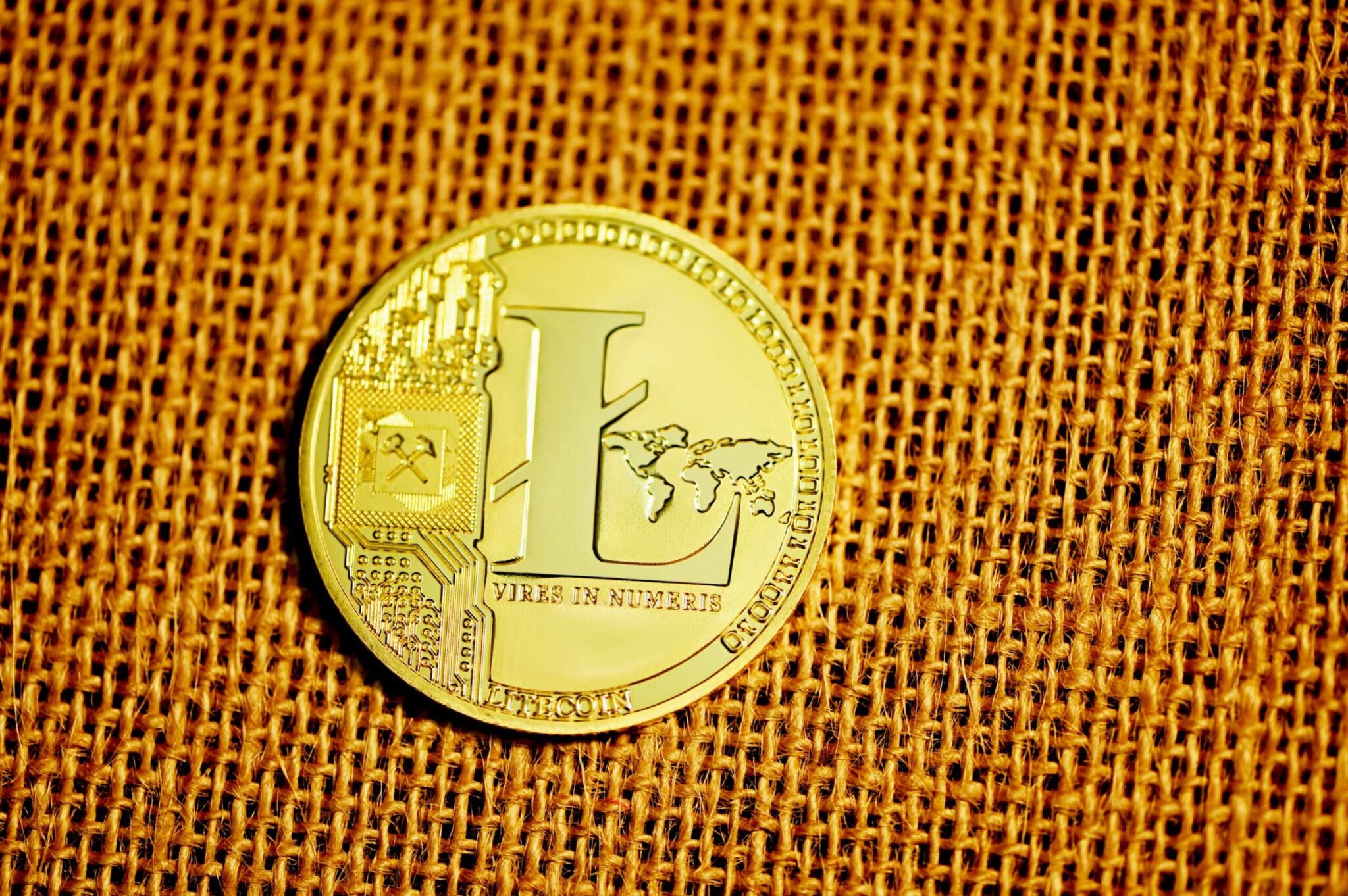 A coin with the L symbol to represent Litecoin
