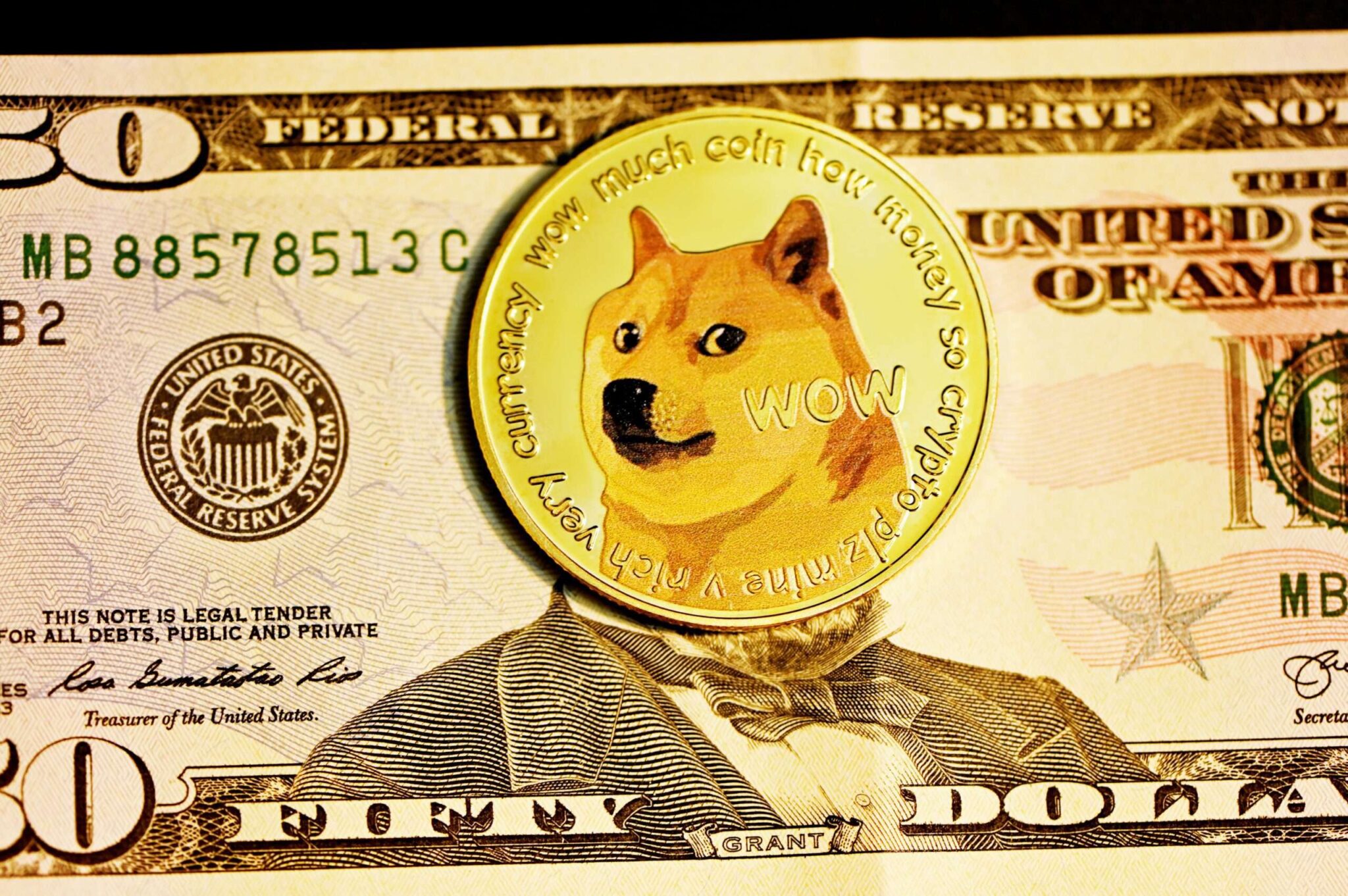 Dogecoin displayed over a currency.
