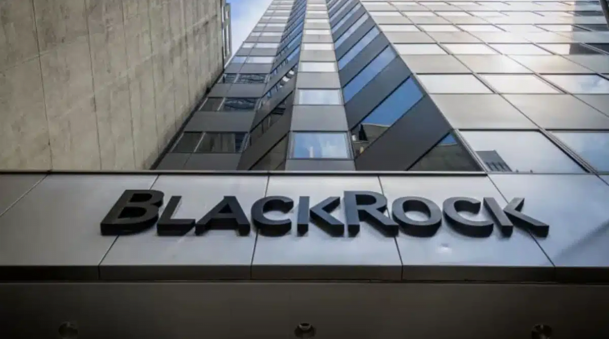 BlackRock CEO Larry Fink: Crypto's Growing Role in Global Investing