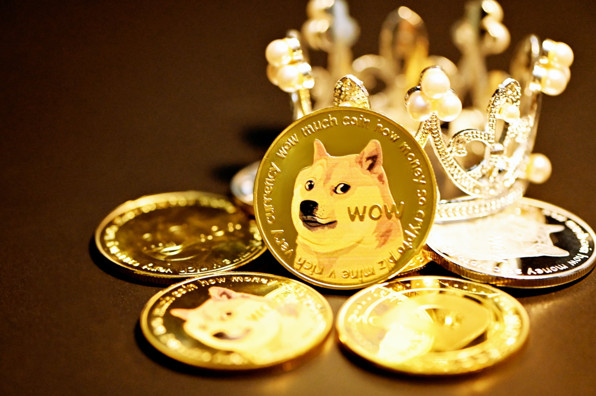 Shiba Inu coin as Shibarium is set to go live in August